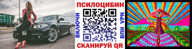 сколько стоит  Усть-Катав  Галлюциногенные грибы мицелий 